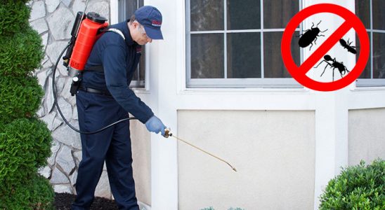 Karataş Dezenfeksiyon böcek ilaçlama ve haşere kontrolü — ilaclama-tr.com
